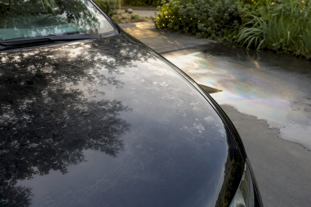 Close-up of acid rain etching on car paint