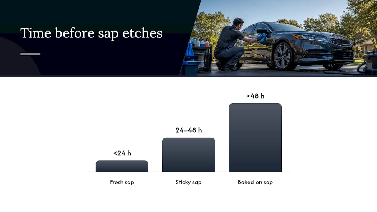 How to Tell If Sap Is Fresh, Sticky, or Baked On — overview diagram
