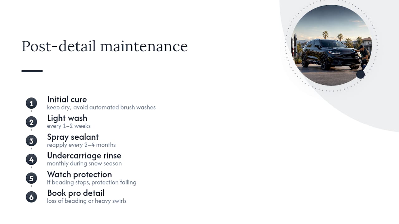 How Should You Maintain Your Car After a Professional Detail? — overview diagram