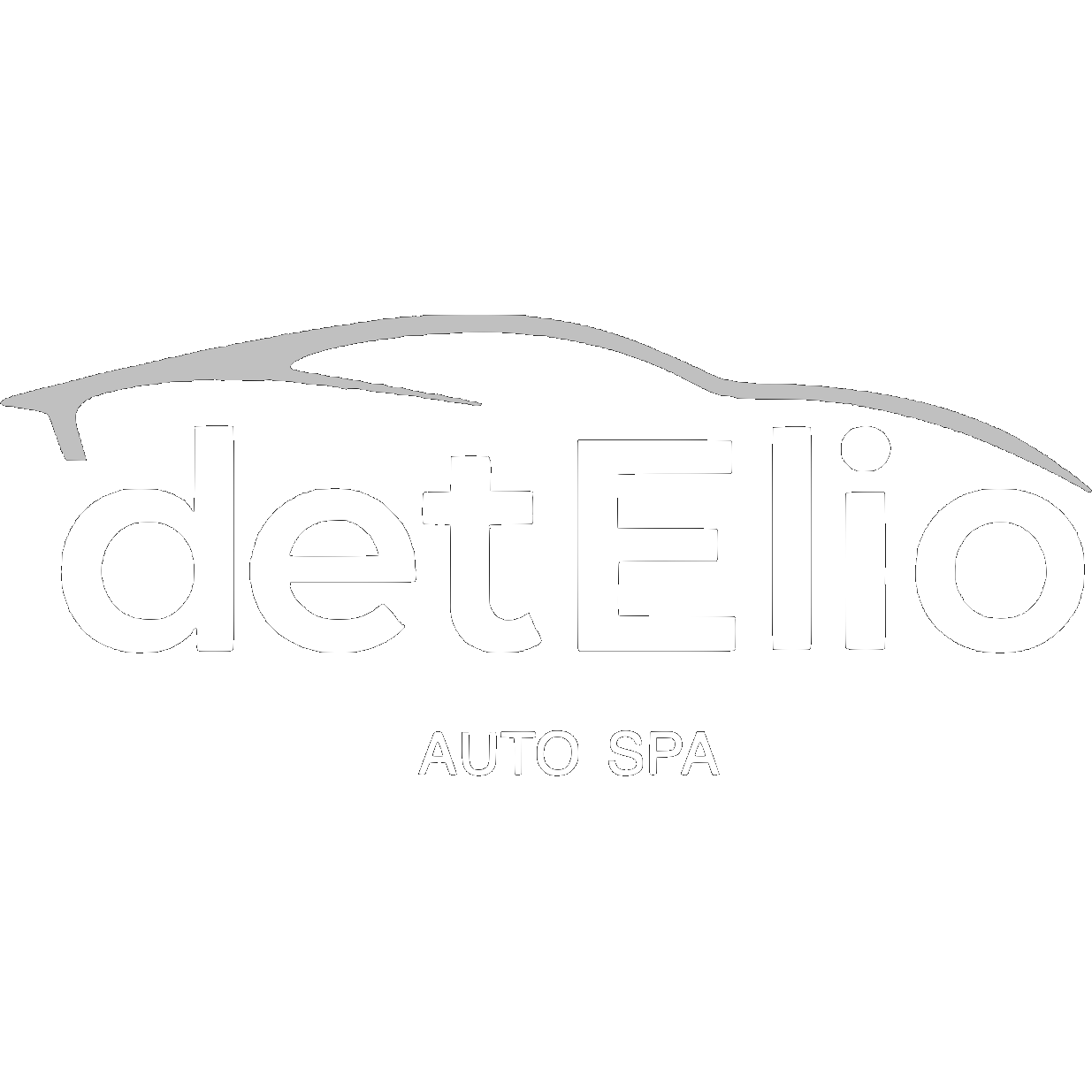 Detelio Auto Spa logo